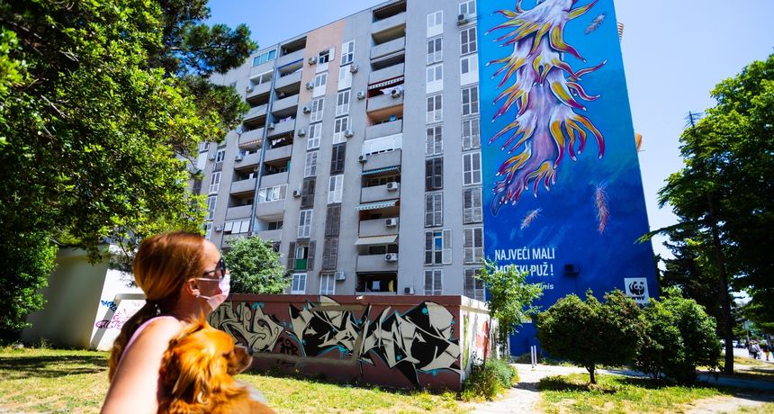 Mural u Splitu u Šimićevoj ulici na Blatinama, gdje je na 300 kvadrata naslikan morski puž (Flabelina affinis) Mural u Splitu u Šimićevoj ulici na Blatinama, gdje je na 300 kvadrata naslikan morski puž (Flabelina affinis)