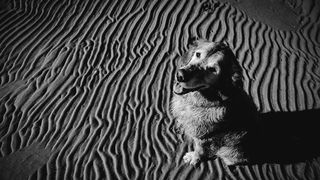 Crno bijela bajka na Kraljičinoj plaži, foto: Iva Perinčić