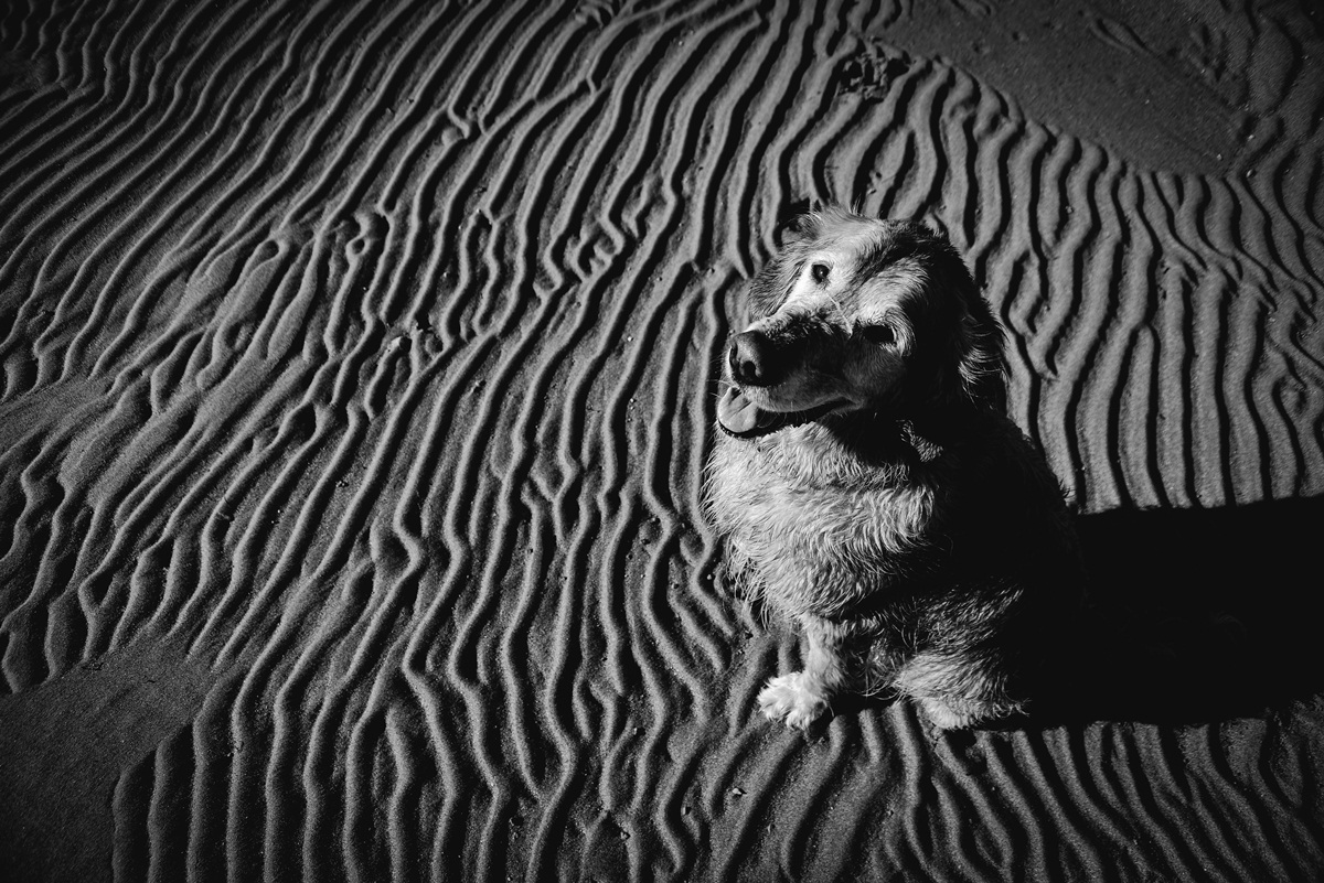 Crno bijela bajka na Kraljičinoj plaži, foto: Iva Perinčić