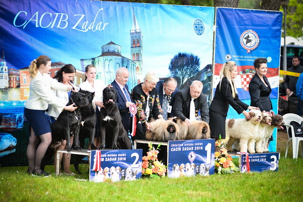 16. Međunarodna izložba pasa CACIB Zadar – Prvak prvaka 2016. 16. Međunarodna izložba pasa CACIB Zadar – Prvak prvaka 2016.