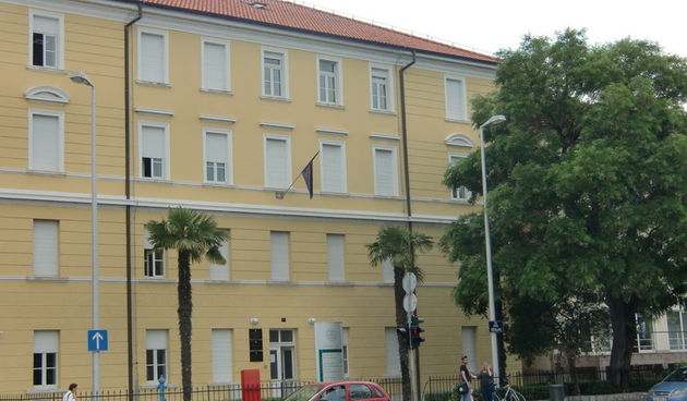 Sveučilište u Zadru, Odjel za lingvistiku