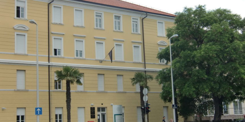 Sveučilište u Zadru, Odjel za lingvistiku