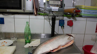 Image 875183 (auto) Image 875183 (auto)