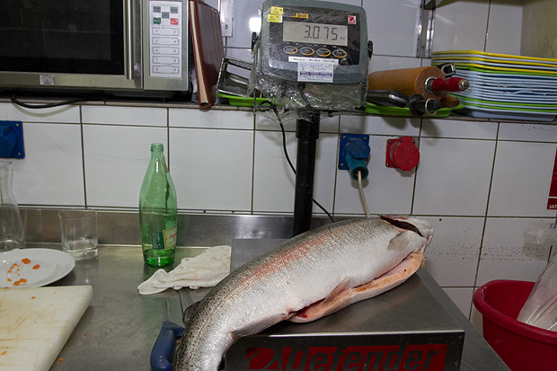 Image 875183 (auto) Image 875183 (auto)