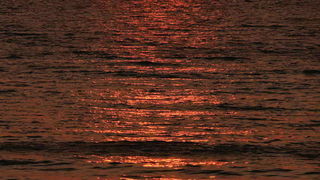 Borik: zalazak sunca, foto: L. Kvarantan