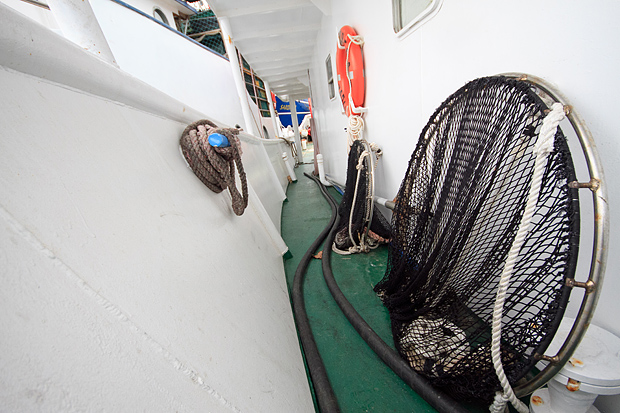 Ribarice u zadarskoj luci, Foto: Leo Banić