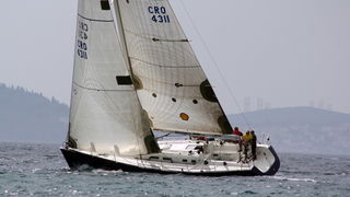 ORC kup Hrvatske: Zadarki kup 2010., Foto. Mladen Malik