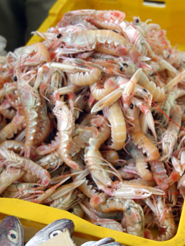 Image 1205447 (auto)