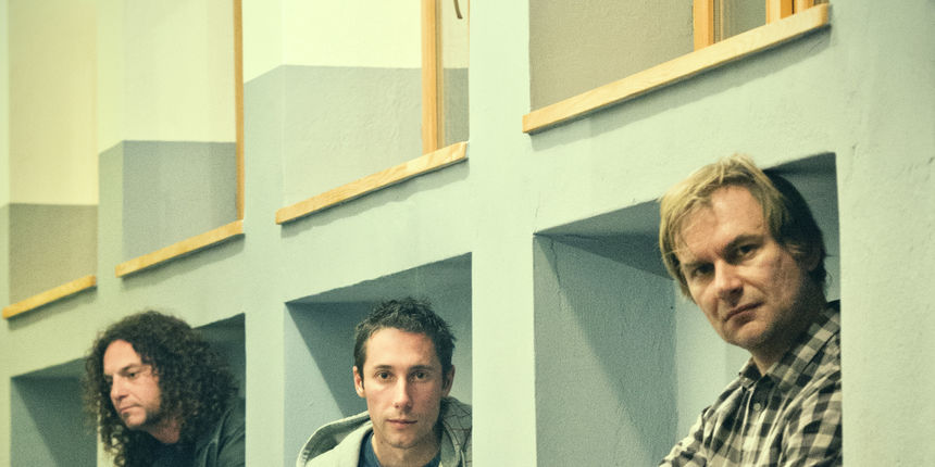 Gatos del mundo promo