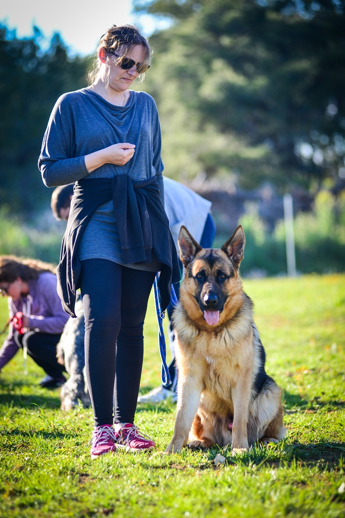 Kinološka udruga Malinois