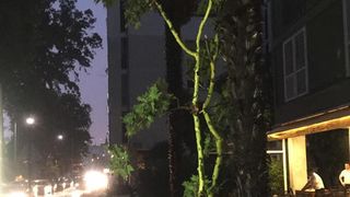 Posljedice grmljavinske nevere koja je poharala Zadar