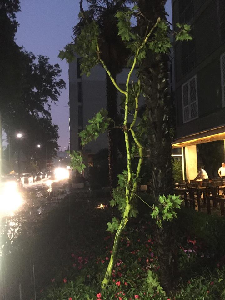 Posljedice grmljavinske nevere koja je poharala Zadar