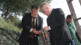 Zadar, 031010.
Predsjednik Hrvatske Ivo Josipovic posjetio je mjesto Lun na otoku Pagu.Obisao je sari maslinik i uljaru Lun Zeljimira Badurine.
Na fotografiji : predsjednik u masliniku.
Foto : Vladimir Ivanov / CROPIX