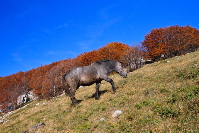 Đir do Zavižana, sjeverni Velebit, foto: Leo Banić