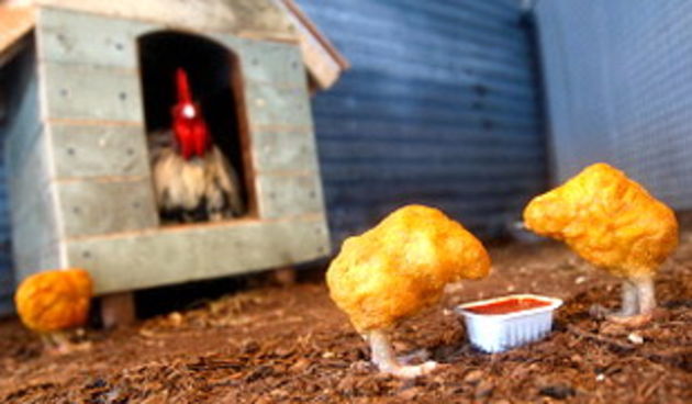 Banksyjeva farma(Foto:net.hr)