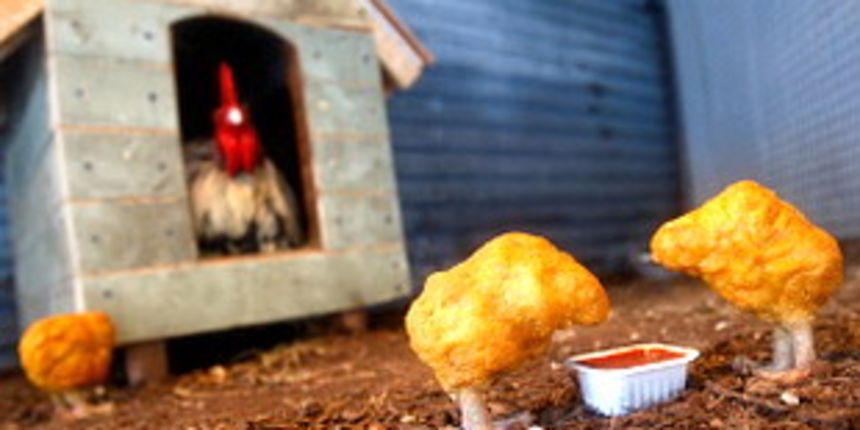 Banksyjeva farma(Foto:net.hr)