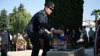 Image 1054155 (auto)