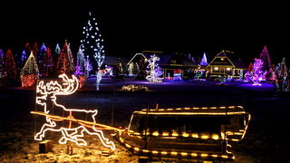 Cazma, 171210.
Grabovnica pokraj Cazme.
Imanje obitelji Salaj.
Predsjednica Vlade Jadranka Kosor svecano je upalila lampice na imanju obitelji Salaj u okviru Bozicne price u Cazmi.
Na imanju je ove godine upaljeno 1100000 lampica.
Prigodom otvorenja bio j