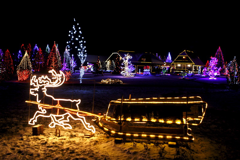 Cazma, 171210.
Grabovnica pokraj Cazme.
Imanje obitelji Salaj.
Predsjednica Vlade Jadranka Kosor svecano je upalila lampice na imanju obitelji Salaj u okviru Bozicne price u Cazmi.
Na imanju je ove godine upaljeno 1100000 lampica.
Prigodom otvorenja bio j