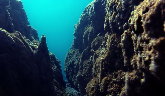 Zagreb, 100112.
U MORH-ovoj galeriji Zvonimir otvorena je druga samostalna izlozba podvodnih fotografija Marinka Babica pod nazivom “Tajne vilinskih jezera”. Autor se predstavio sa 36 podvodnih fotografija snimljenih prosle godine u nacionalnom parku Plit