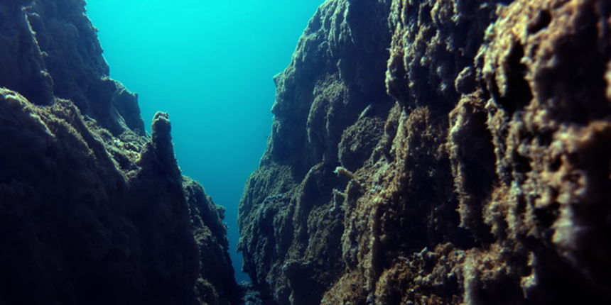 Zagreb, 100112.
U MORH-ovoj galeriji Zvonimir otvorena je druga samostalna izlozba podvodnih fotografija Marinka Babica pod nazivom “Tajne vilinskih jezera”. Autor se predstavio sa 36 podvodnih fotografija snimljenih prosle godine u nacionalnom parku Plit
