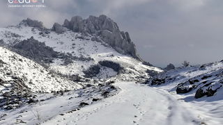 Tulove grede pod snježnim pokrivačem Tulove grede pod snježnim pokrivačem