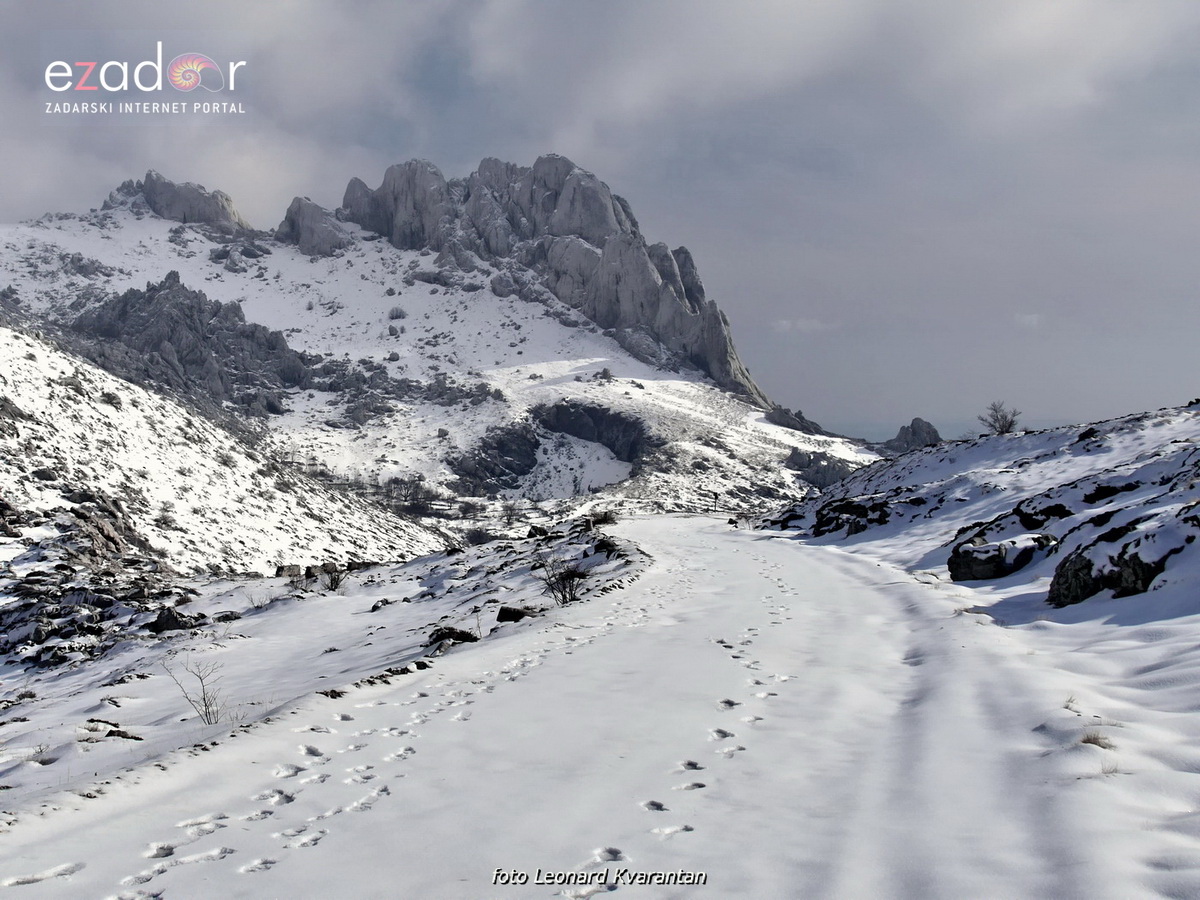 Tulove grede pod snježnim pokrivačem Tulove grede pod snježnim pokrivačem