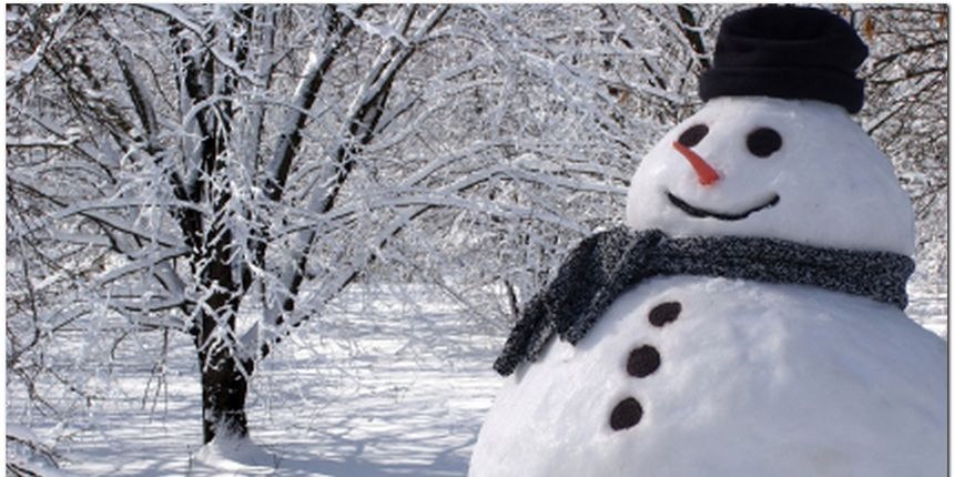 snjegović snjegović