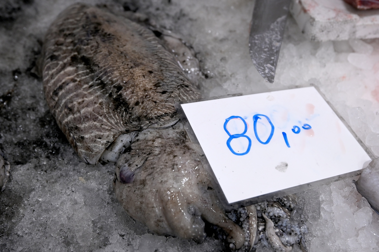 Bogata ponuda ribe na gradskoj ribarnici Bogata ponuda ribe na gradskoj ribarnici