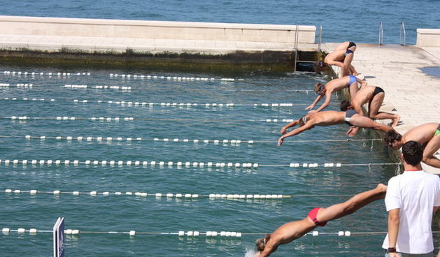 Plivacki miting “Zadar 2008.”