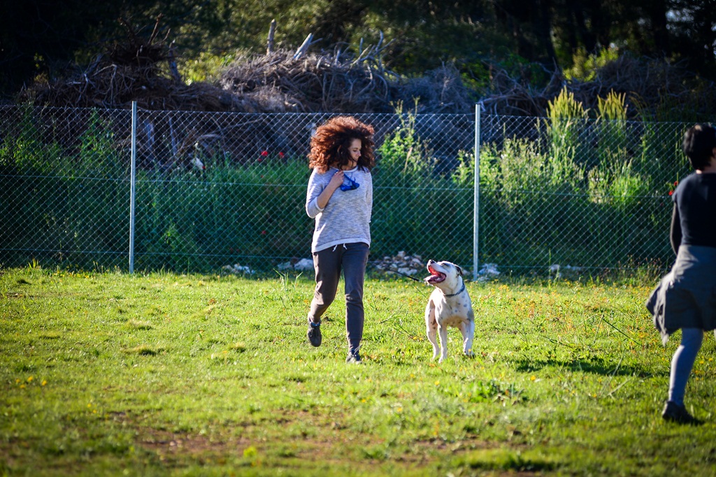 Kinološka udruga Malinois