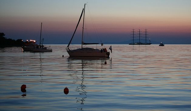 Image 1208353 (auto)