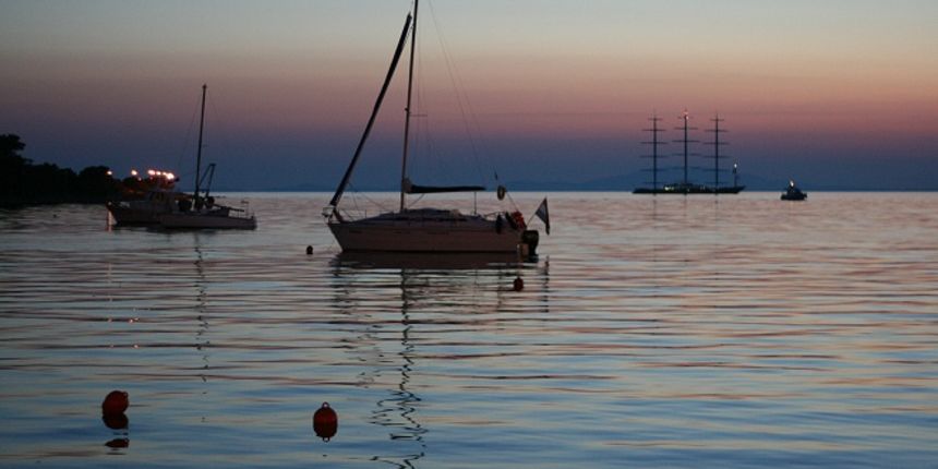 Image 1208353 (auto)