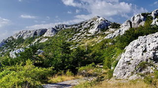Pogled na impozantni Kremen