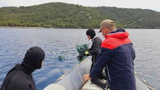 Image 6027733 (auto)