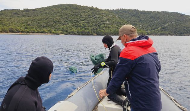 Image 6027733 (auto)