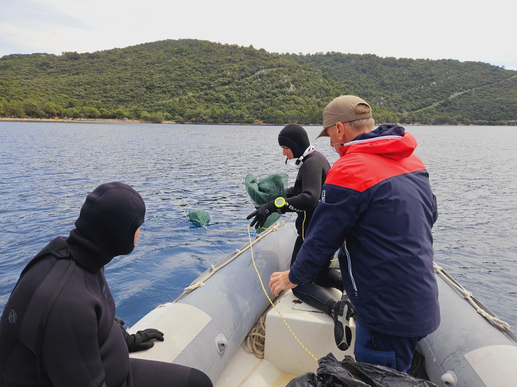 Image 6027733 (auto)