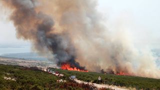 Pod kontrolu stavljen ponovo aktiviran požar kod Košljuna na Pagu