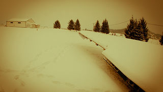 Priča zaboravljenog aviona u Otočcu, foto: Leo Banic