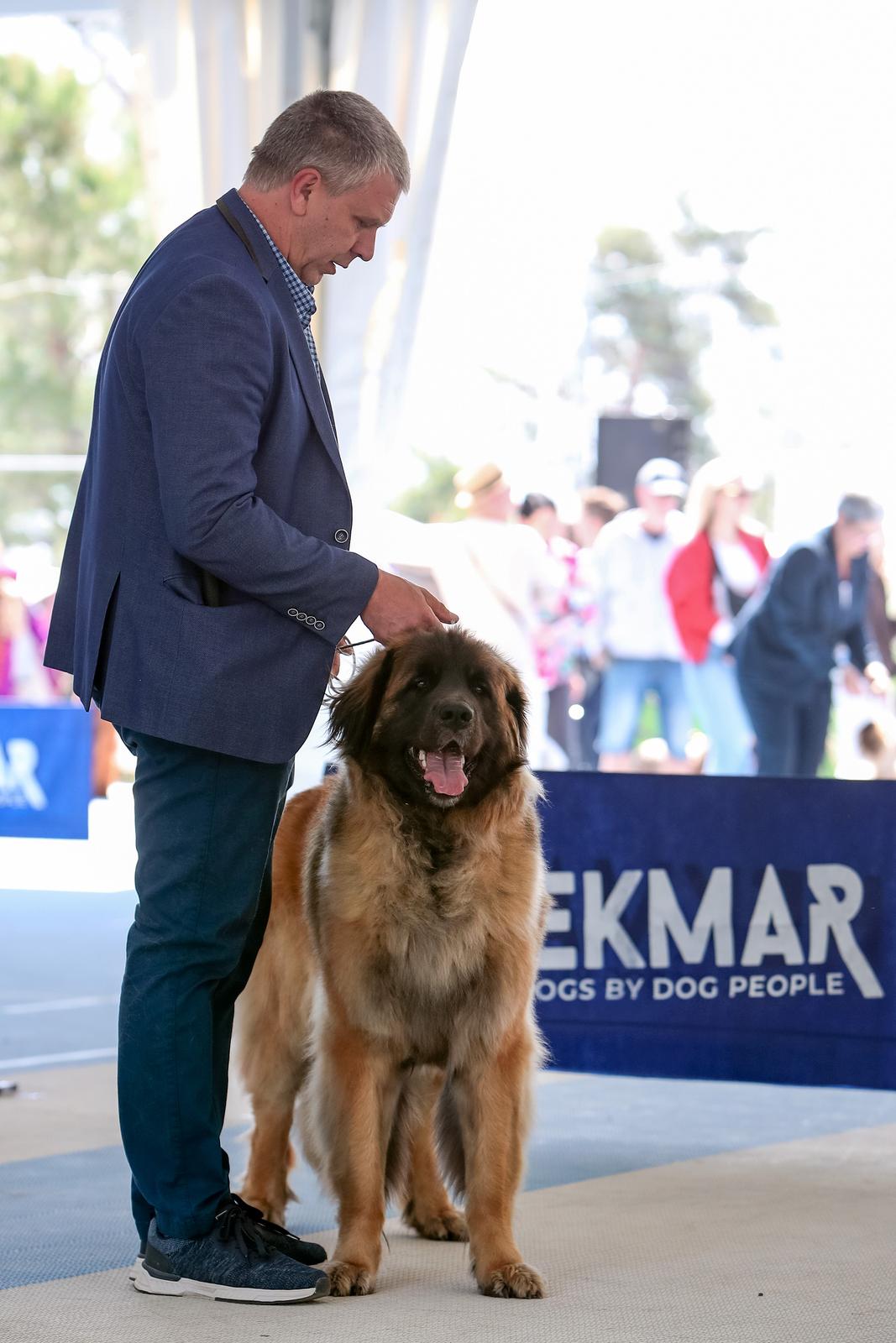 Međunarodna izložba pasa CACIB 2023