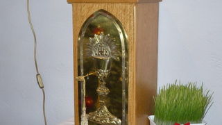 Bulićani proslavili svog nebeskog zaštitnika Sv. Antuna Pustinjaka, foto: M. Ledenko Bulićani proslavili svog nebeskog zaštitnika Sv. Antuna Pustinjaka, foto: M. Ledenko