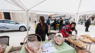 150 godina Narodnog lista, koncert Zadru na dar, foto: Darko Belančić