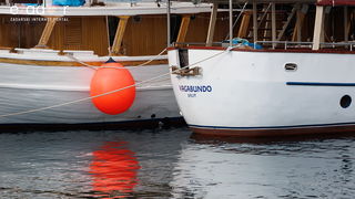 Đir po gradu, utorak 28. veljače 2023. Đir po gradu, utorak 28. veljače 2023.