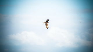 Nedjeljni đir do Parka prirode Vransko jezero i vidikovca Kamenjak, foto: Iva Perinčić Nedjeljni đir do Parka prirode Vransko jezero i vidikovca Kamenjak, foto: Iva Perinčić