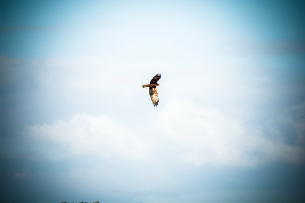 Nedjeljni đir do Parka prirode Vransko jezero i vidikovca Kamenjak, foto: Iva Perinčić Nedjeljni đir do Parka prirode Vransko jezero i vidikovca Kamenjak, foto: Iva Perinčić