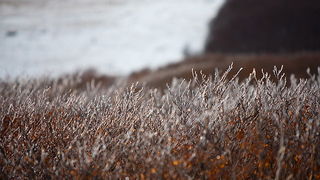 Đir do vrha Zečjak na sjevernom Velebitu, Foto: Leo Banić