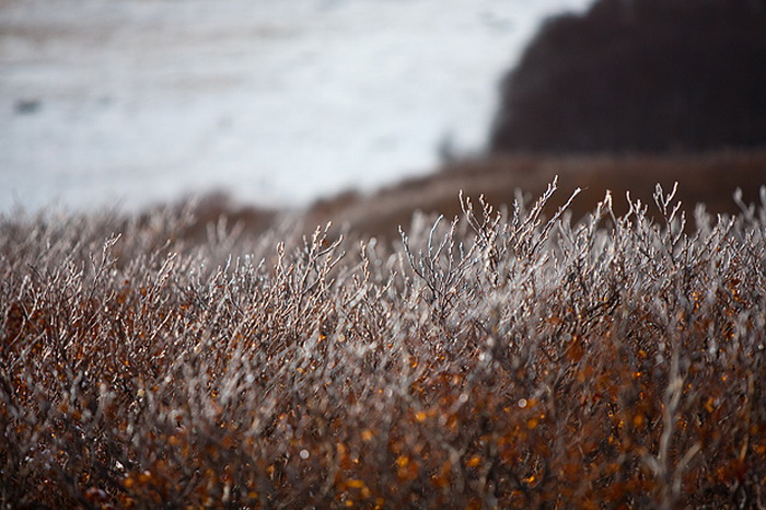 Đir do vrha Zečjak na sjevernom Velebitu, Foto: Leo Banić