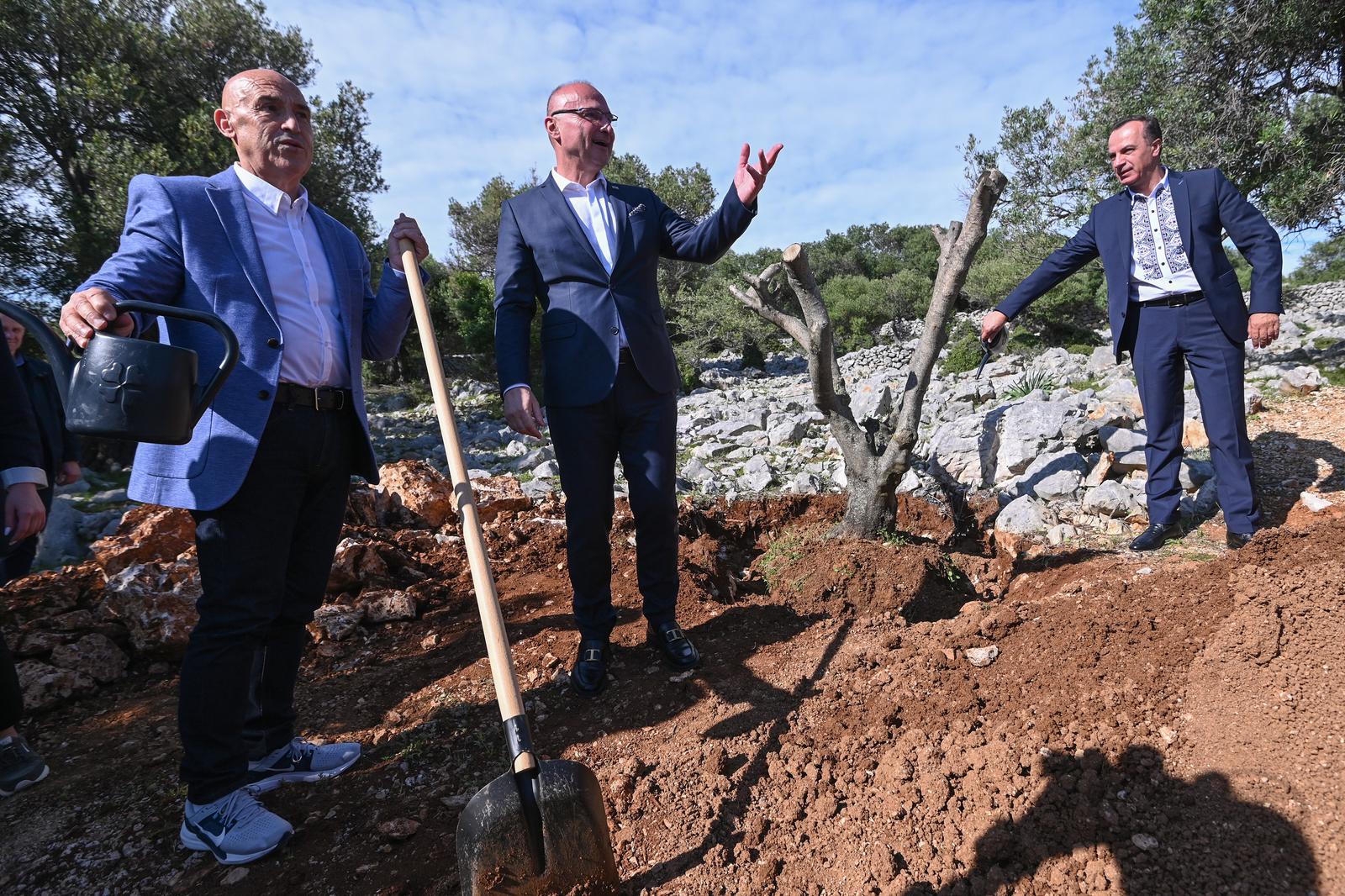 Grlić Radman i veleposlanik Ukrajine posadili maslinu u Perivoju mira