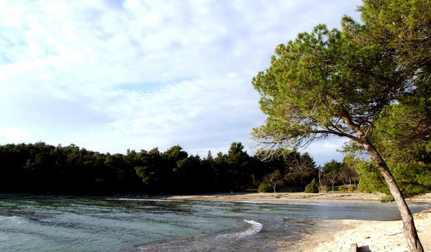 Plaža u Pakoštanima(foto:Nikolina Mimić Dujmović)