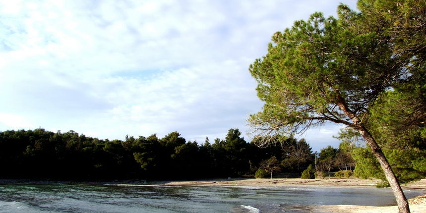 Plaža u Pakoštanima(foto:Nikolina Mimić Dujmović)